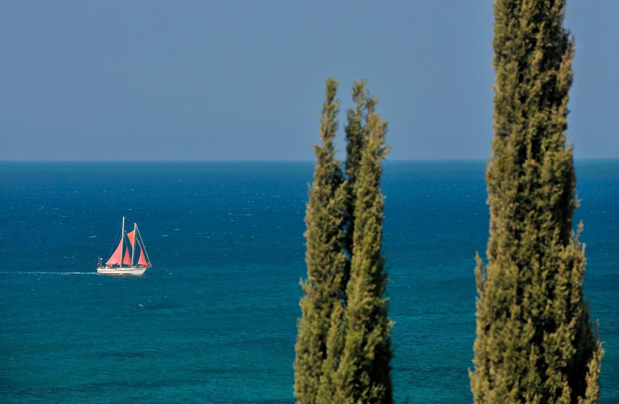 Ξενοδοχείο Anassa Ξενοδοχείο Πόλη Εξωτερικό φωτογραφία